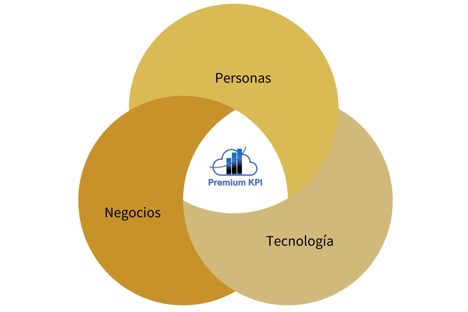 Premium KPI Principios Diagrama Venn